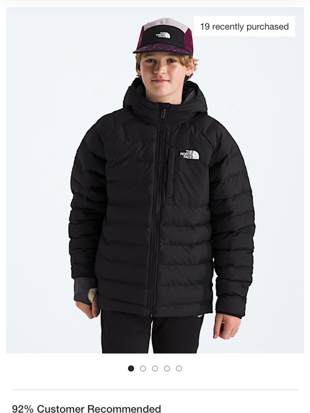 The North Face Gray Hooded Insulated Jacket